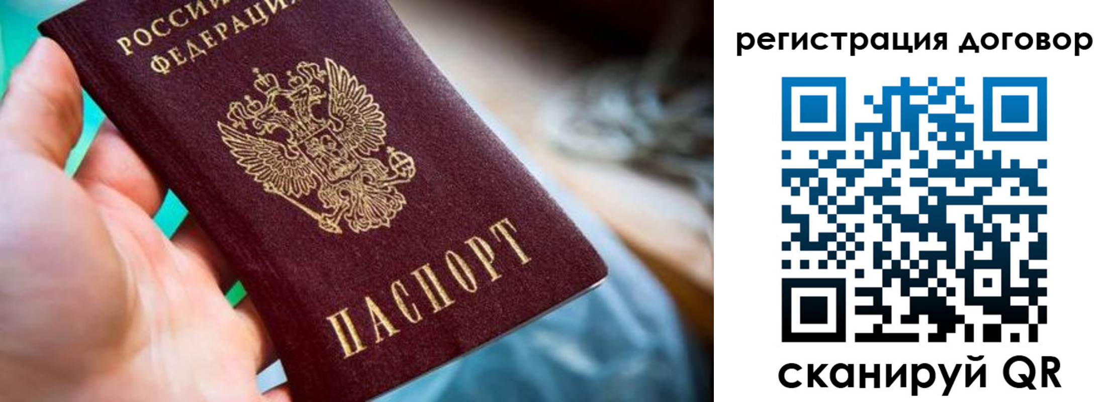 прописка гарантия в Новочеркасске